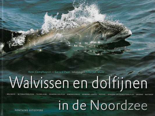 Omslag van Walvissen en dolfijnen in de Noordzee / in de zuidelijke Noordzee, tweedehands boek bij Boekhandel Bloks