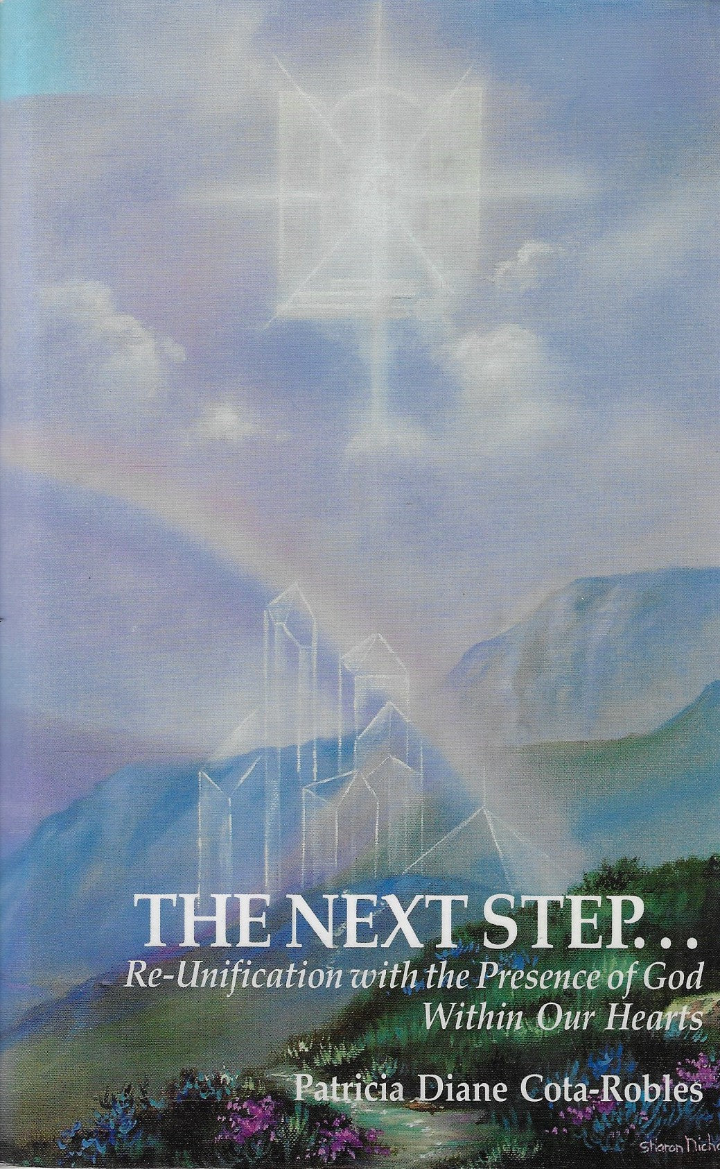 Omslag van The next step..., tweedehands boek bij Boekhandel Bloks