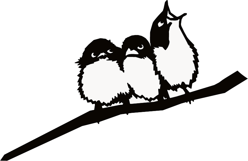 Omslag van Originele metalbirds - three little birds, tweedehands boek bij Boekhandel Bloks