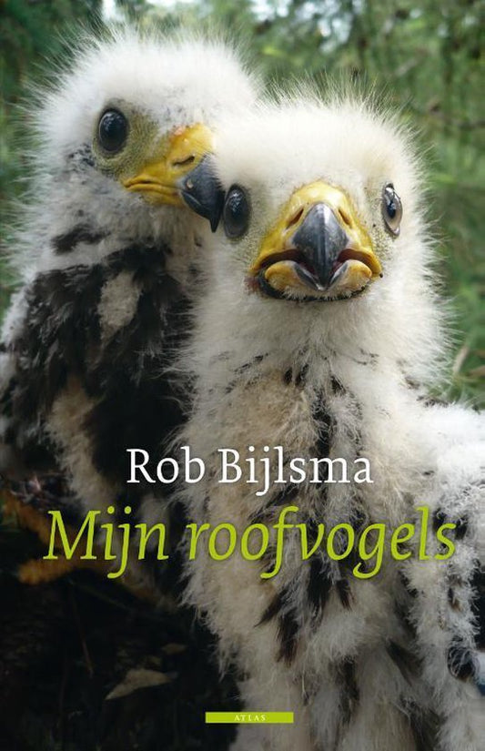 Omslag van Mijn roofvogels, tweedehands boek bij Boekhandel Bloks