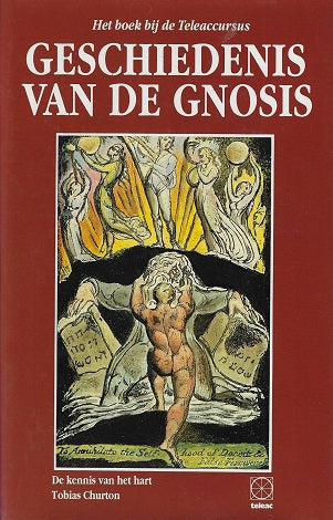Omslag van Geschiedenis van de gnosis, tweedehands boek bij Boekhandel Bloks