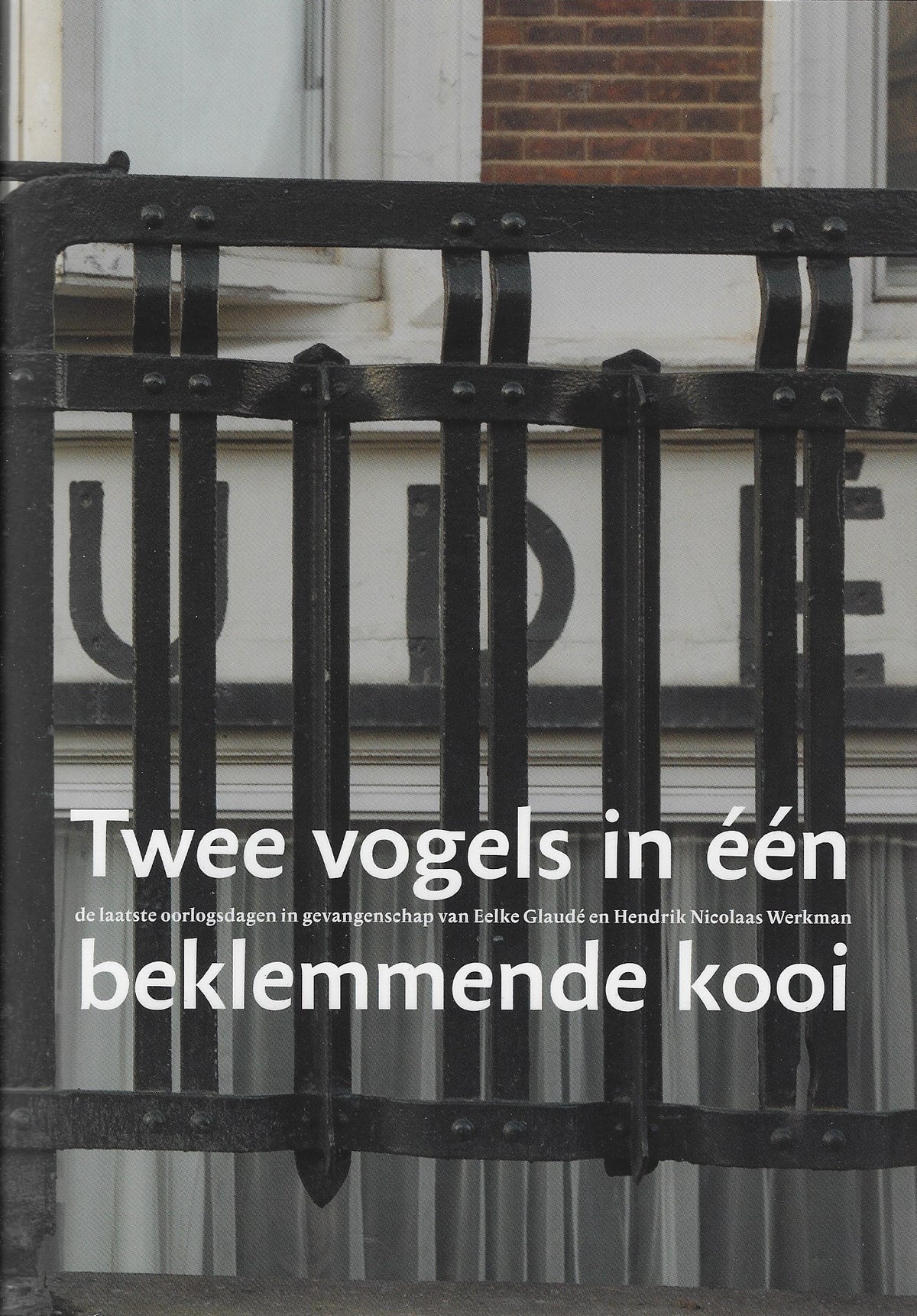 Omslag van Twee vogels in één beklemmende kooi / De laatste dagen van Hendrik Nicolaas Werkman, tweedehands boek bij Boekhandel Bloks