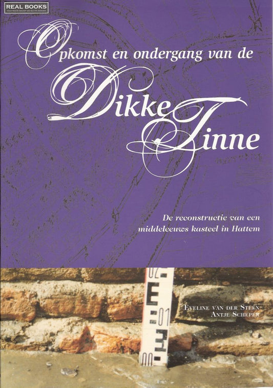 Omslag van Opkomst en ondergang van de Dikke Tinne Reconstructie van een middeleeuws kasteel in Hattem, tweedehands boek bij Boekhandel Bloks