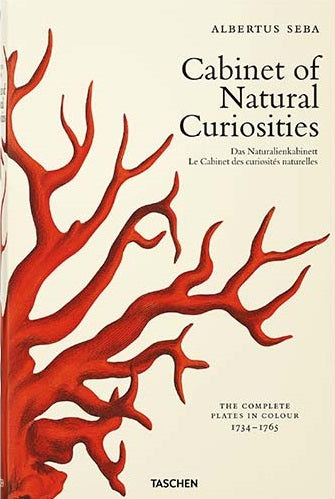 Omslag van Seba. Cabinet of Natural Curiosities, tweedehands boek bij Boekhandel Bloks